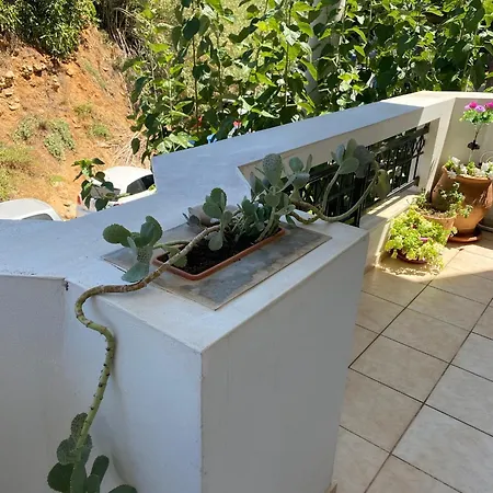 Apartman Blue Valia *